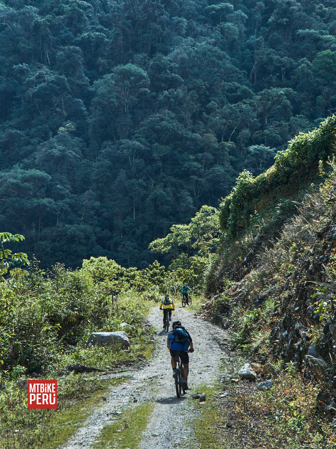 Tambillo Jungle downhill, Chanchamayo, Junin, Peru