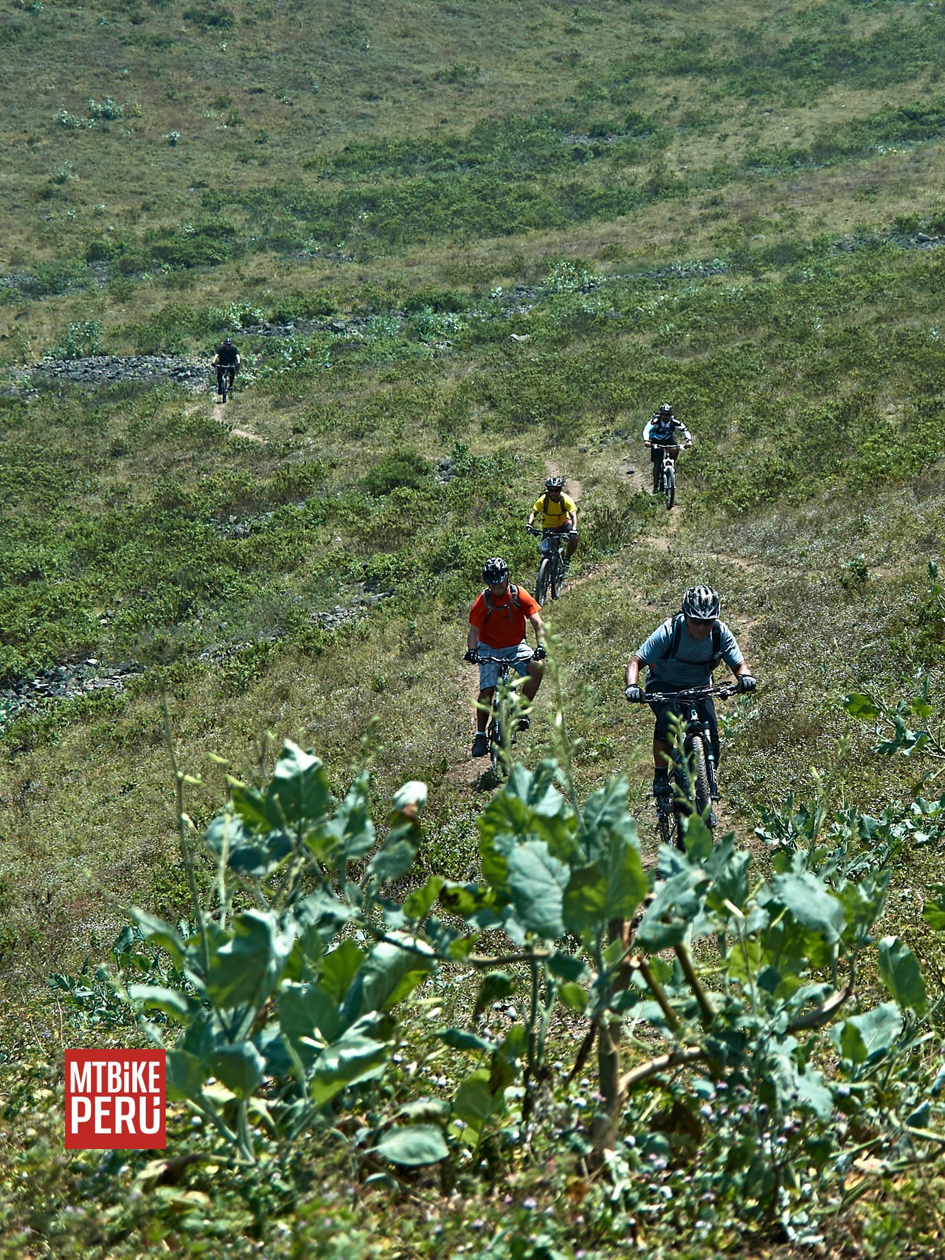 Lomas de Asia, Lima, Peru