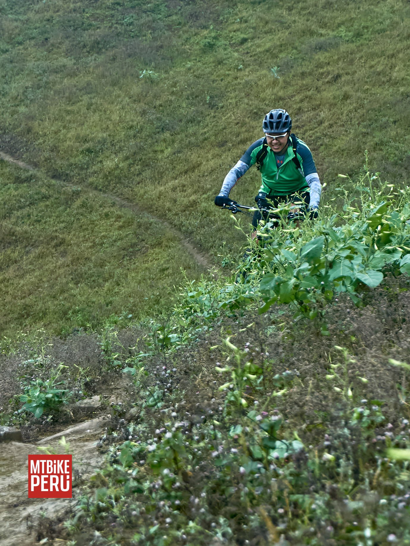 Lomas de Asia, Lima, Peru