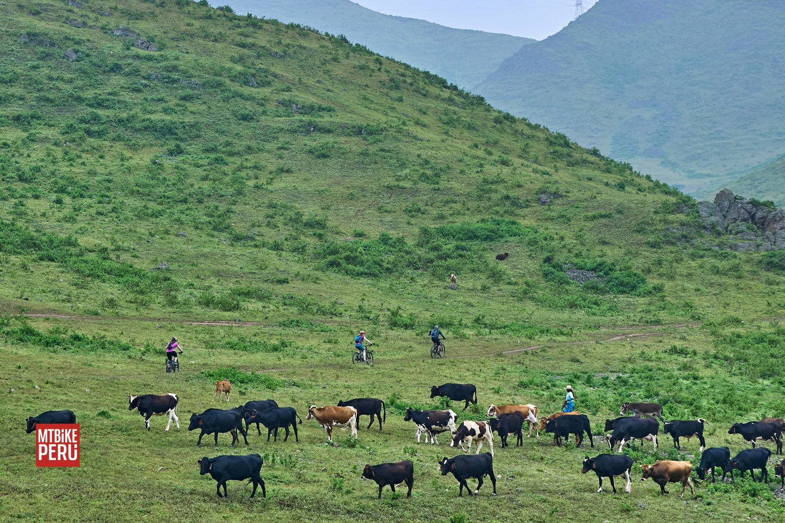 Lomas de Asia, Lima, Peru