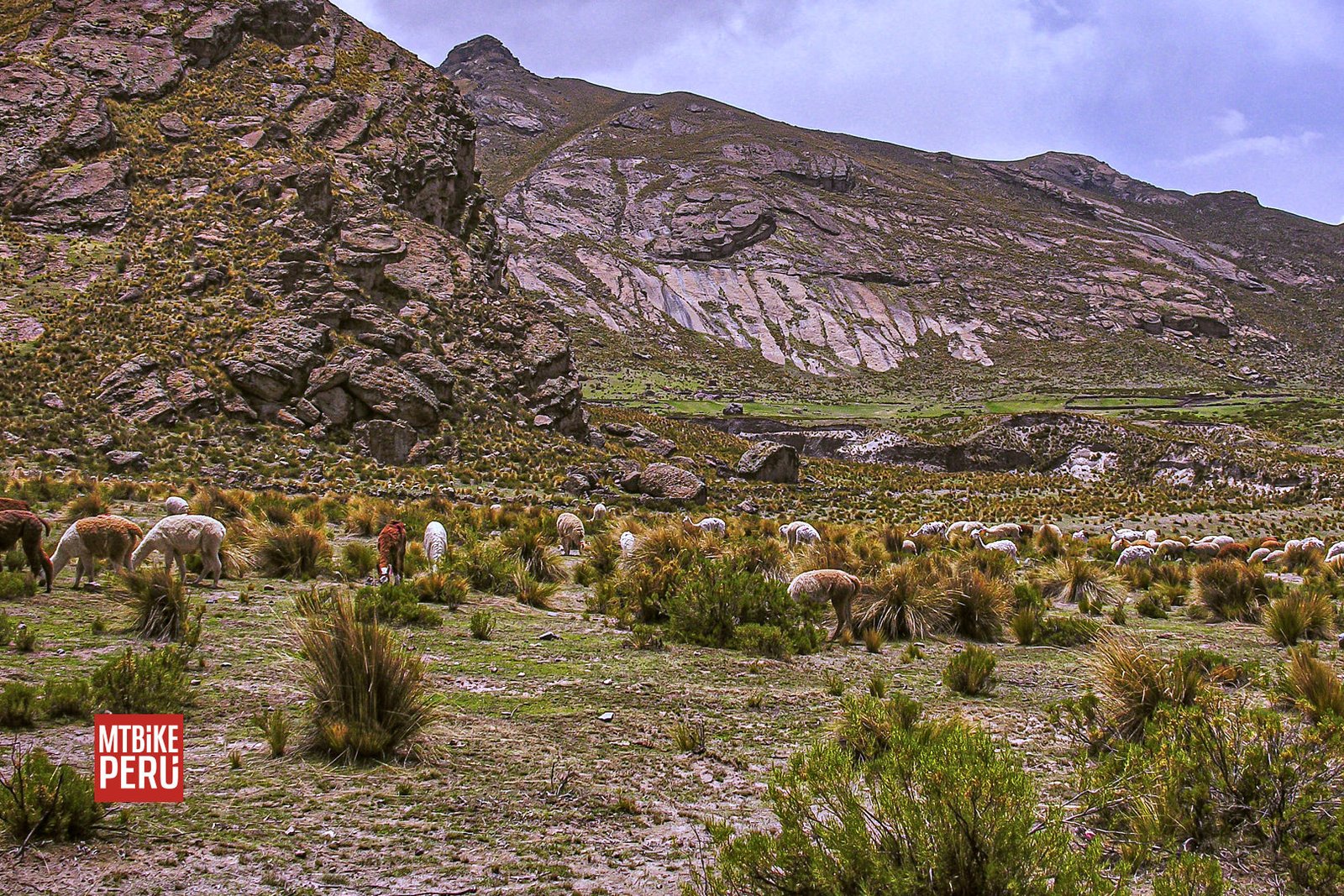 Arequipa, Colca, Sibayo Inca Trail