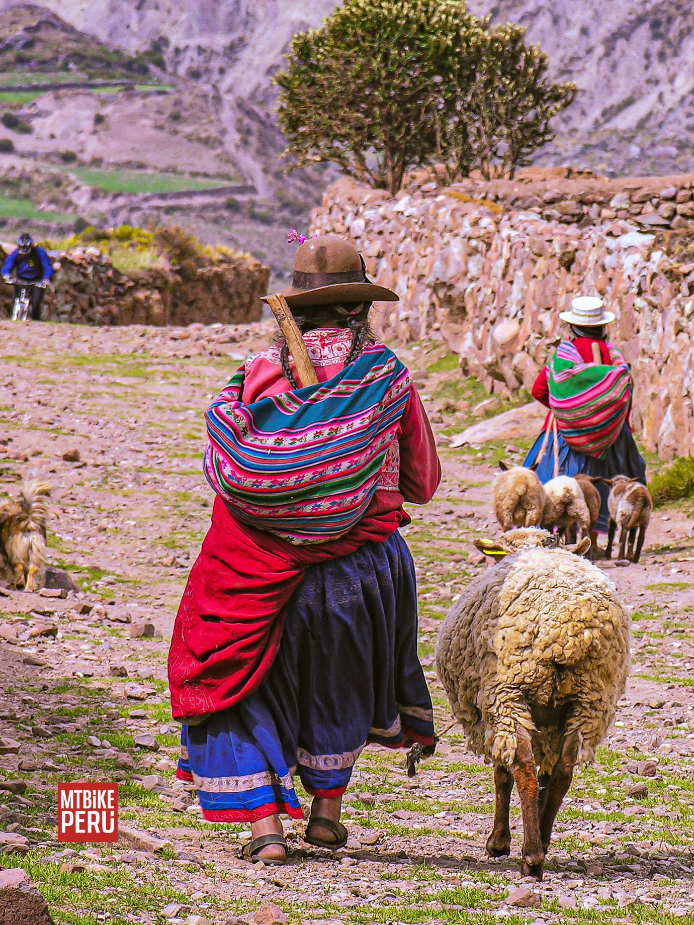 Arequipa, Colca, Sibayo Inca Trail
