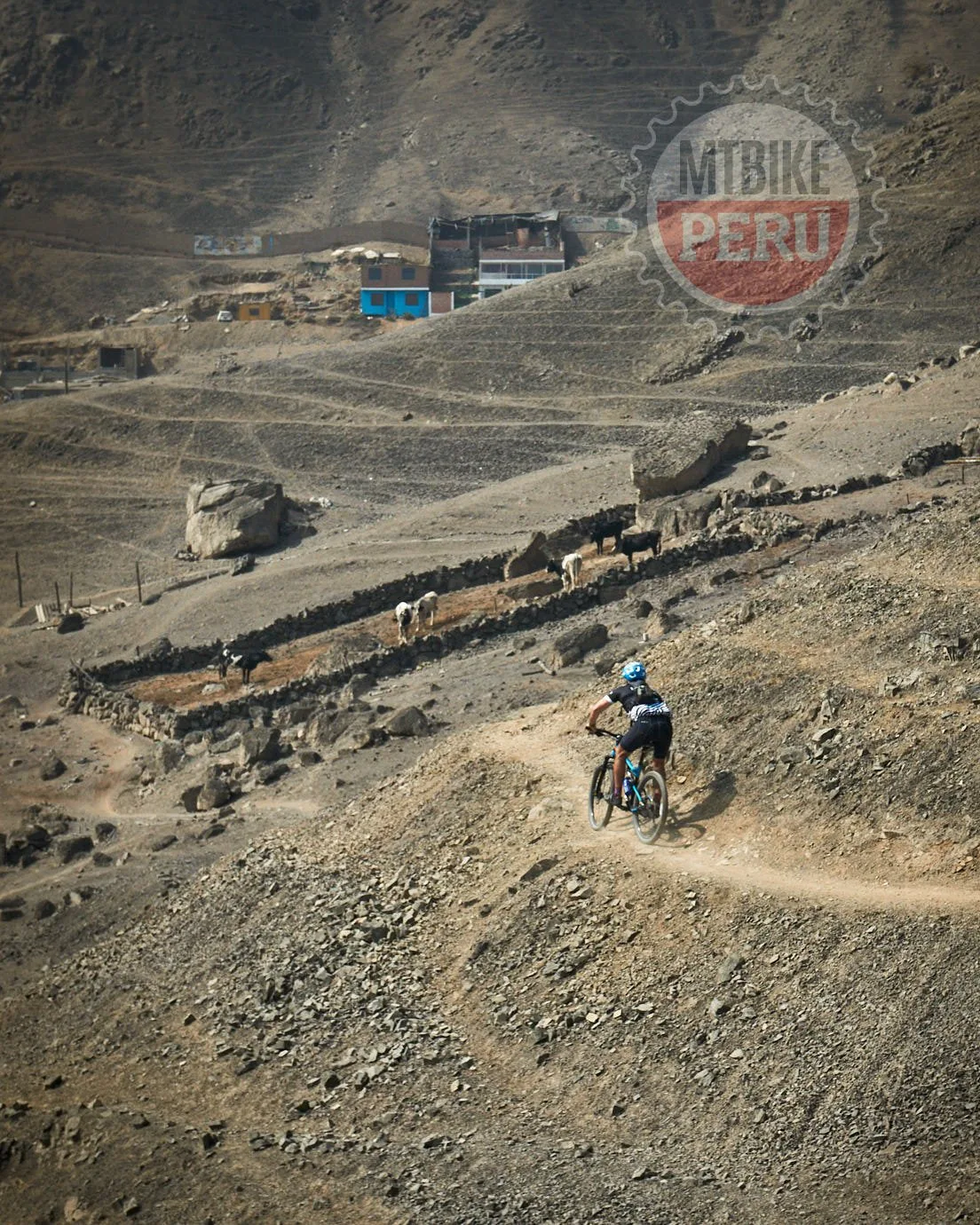 2018.05 CARDAL SINGLETRACKS 0163 mountain bike peru