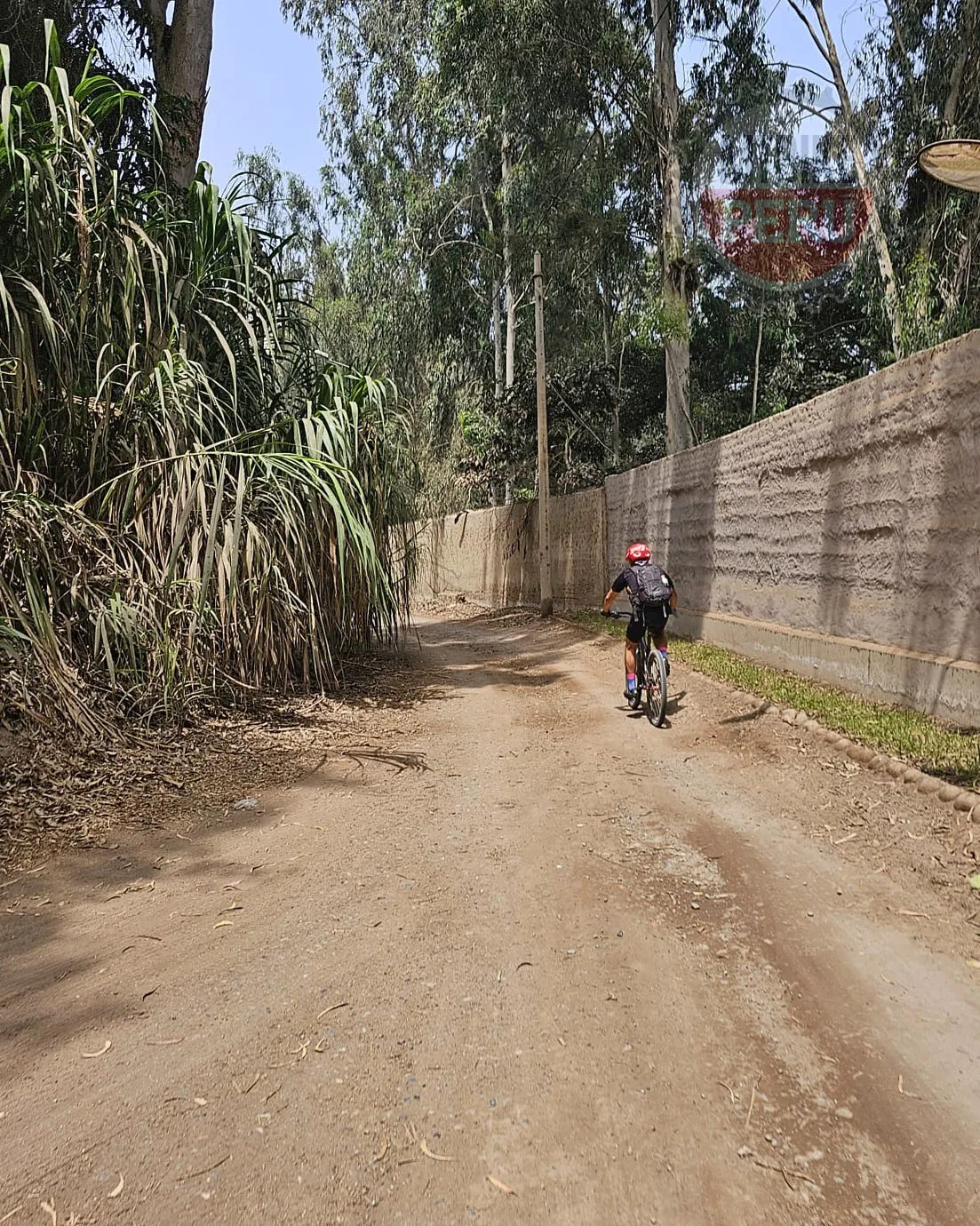 PACHA GRAVEL 23.09 2 mountain bike peru