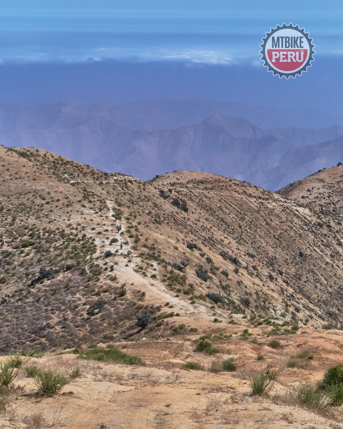 ANDES TO COAST