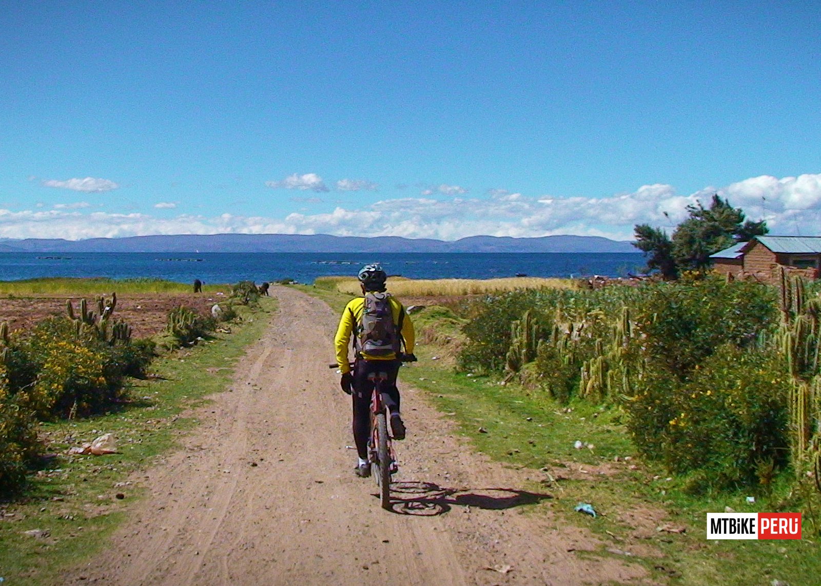 CAPACHICA 0038 mountain bike peru