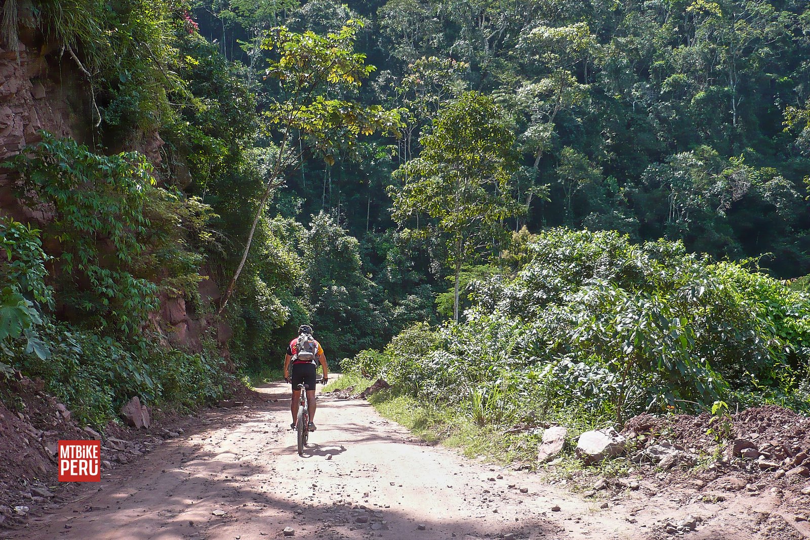 tarapoto laguna sauce